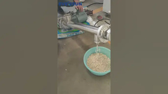 Conveyor sekrup membawa kacang putih ginjal#conveyor